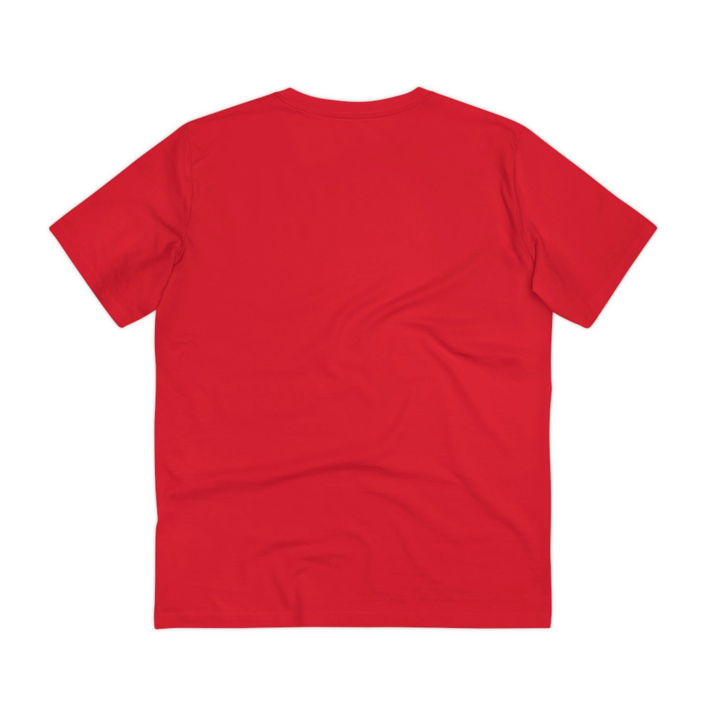 Skanking Kids S02- UFB Organic Creator T-shirt - Unisex